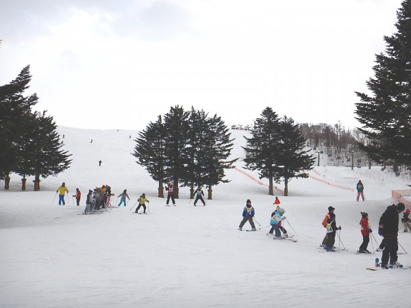 ダイナスティスキーリゾート 北海道の 今 をお届け Domingo ドミンゴ