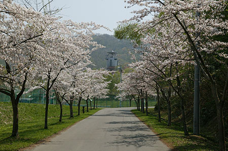 東明公園 北海道の 今 をお届け Domingo ドミンゴ