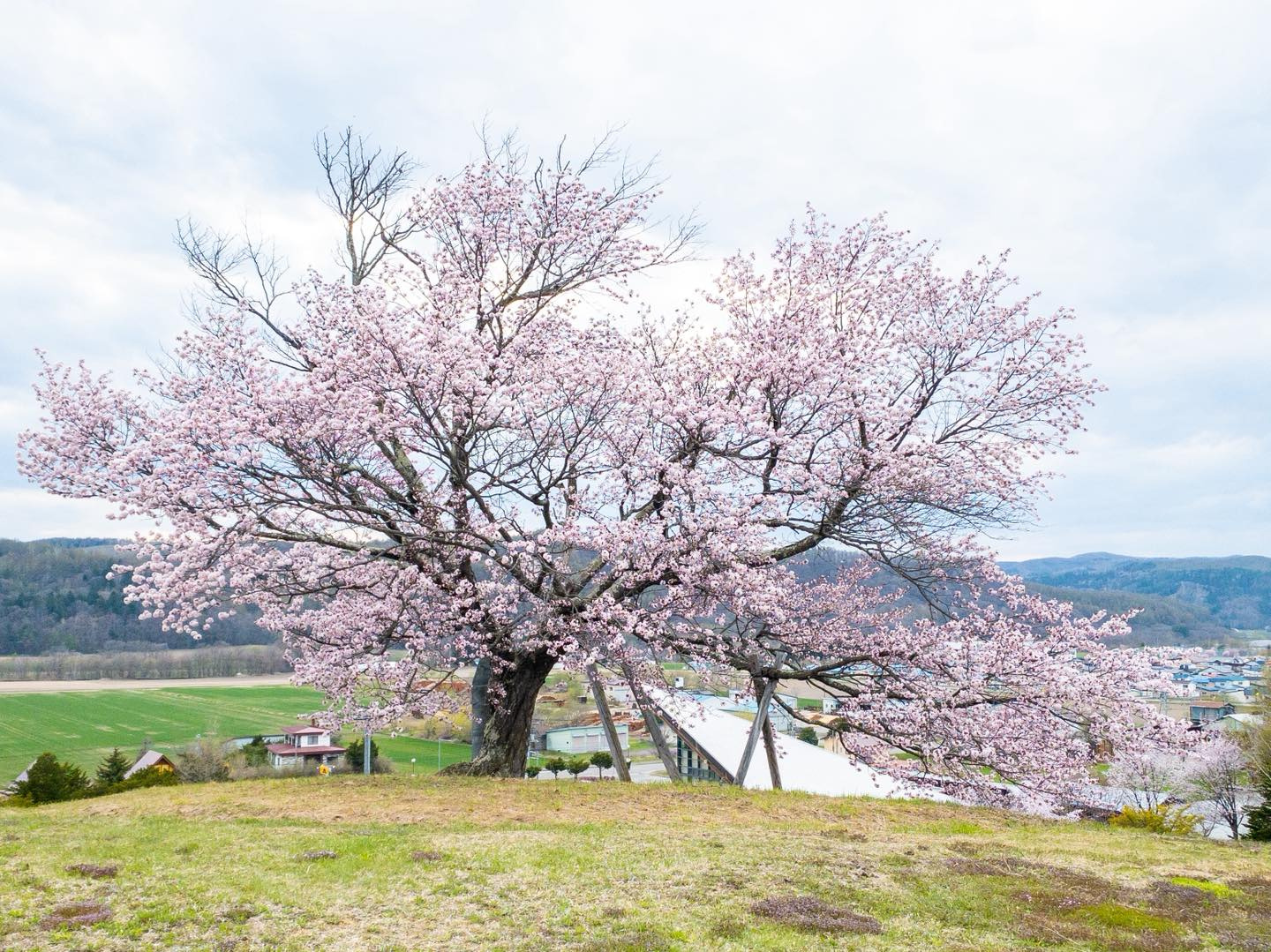 rFQqRW7T0kgp6J7GTXyMFV8D4CdzeM